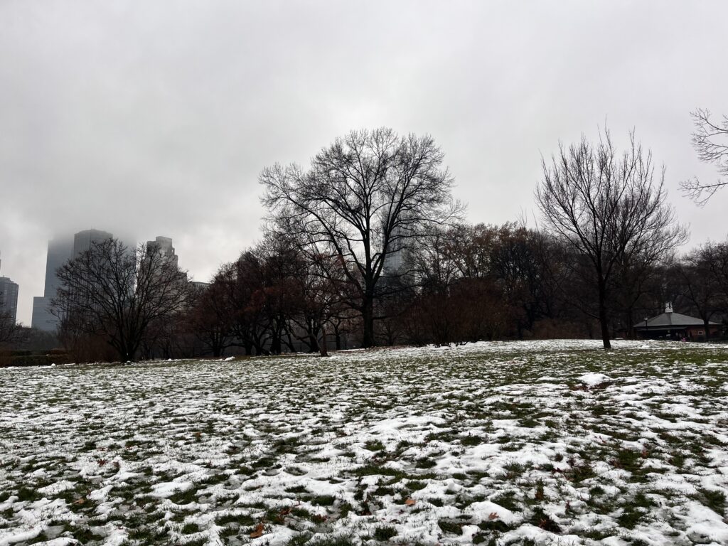私がニューヨークで撮影した広場